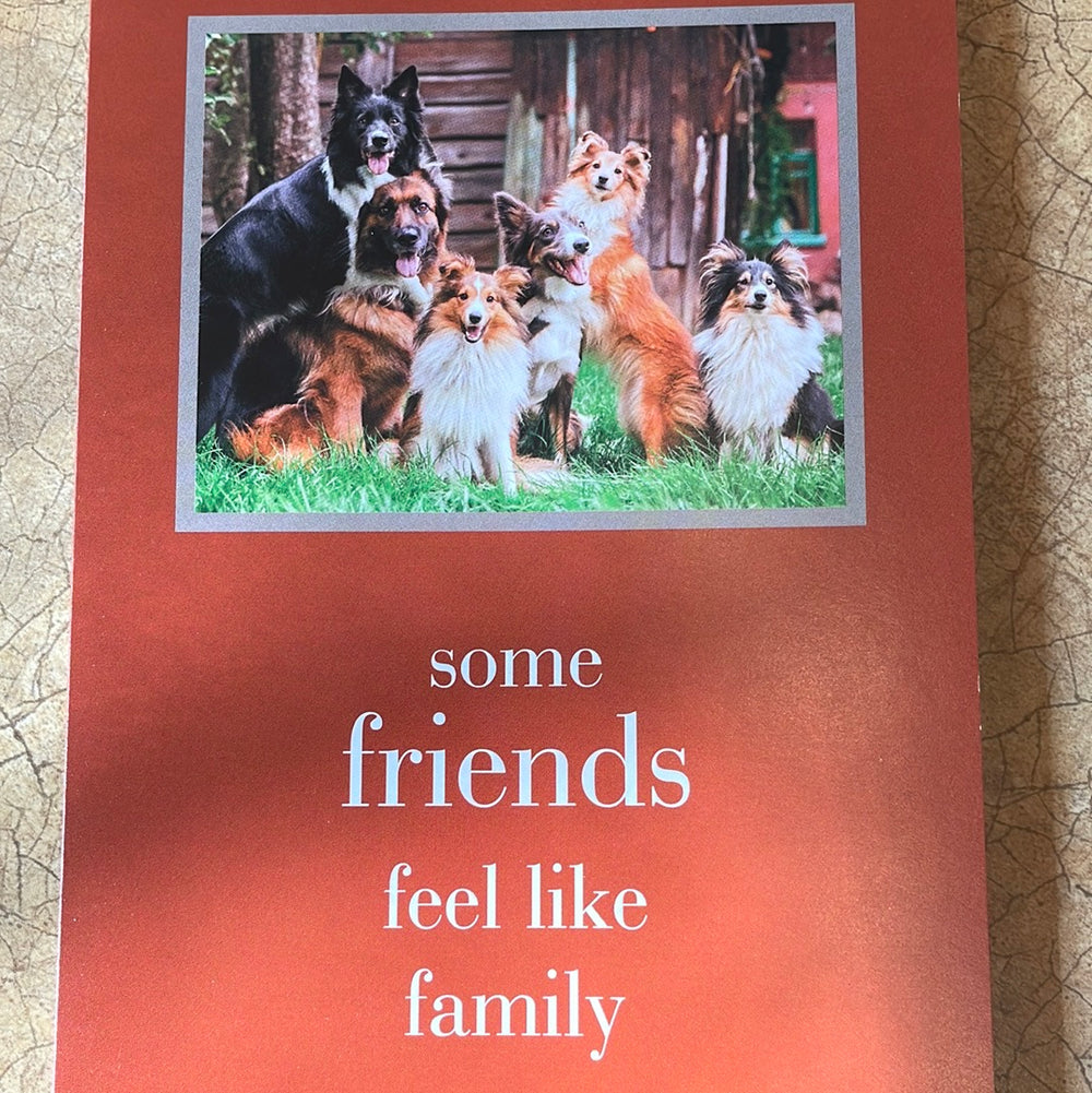 Family of Friends Birthday Card