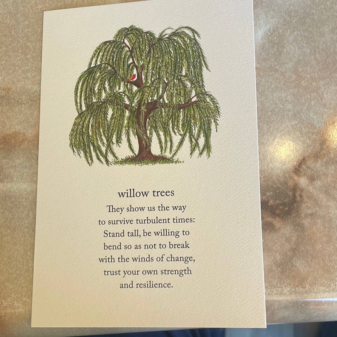 Willow Trees Support and Encouragement Card