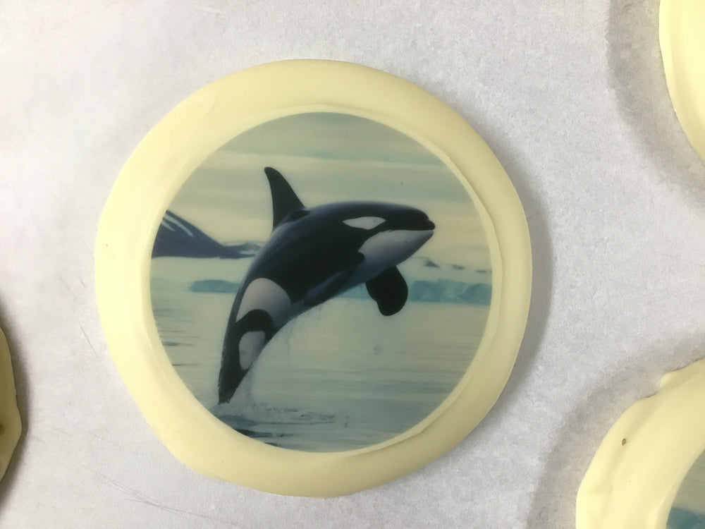 Sugar Cookie