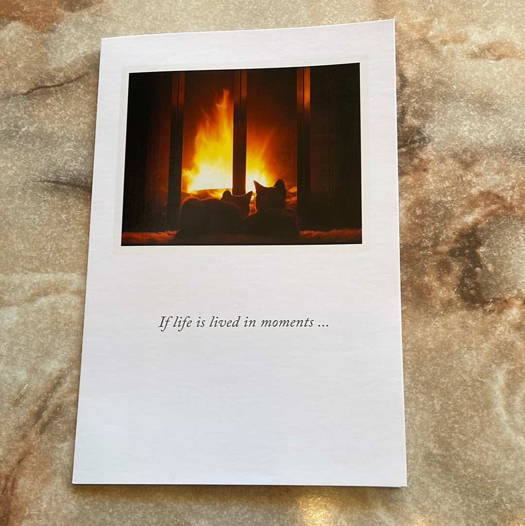 Fireplace Cats Anniversary Card