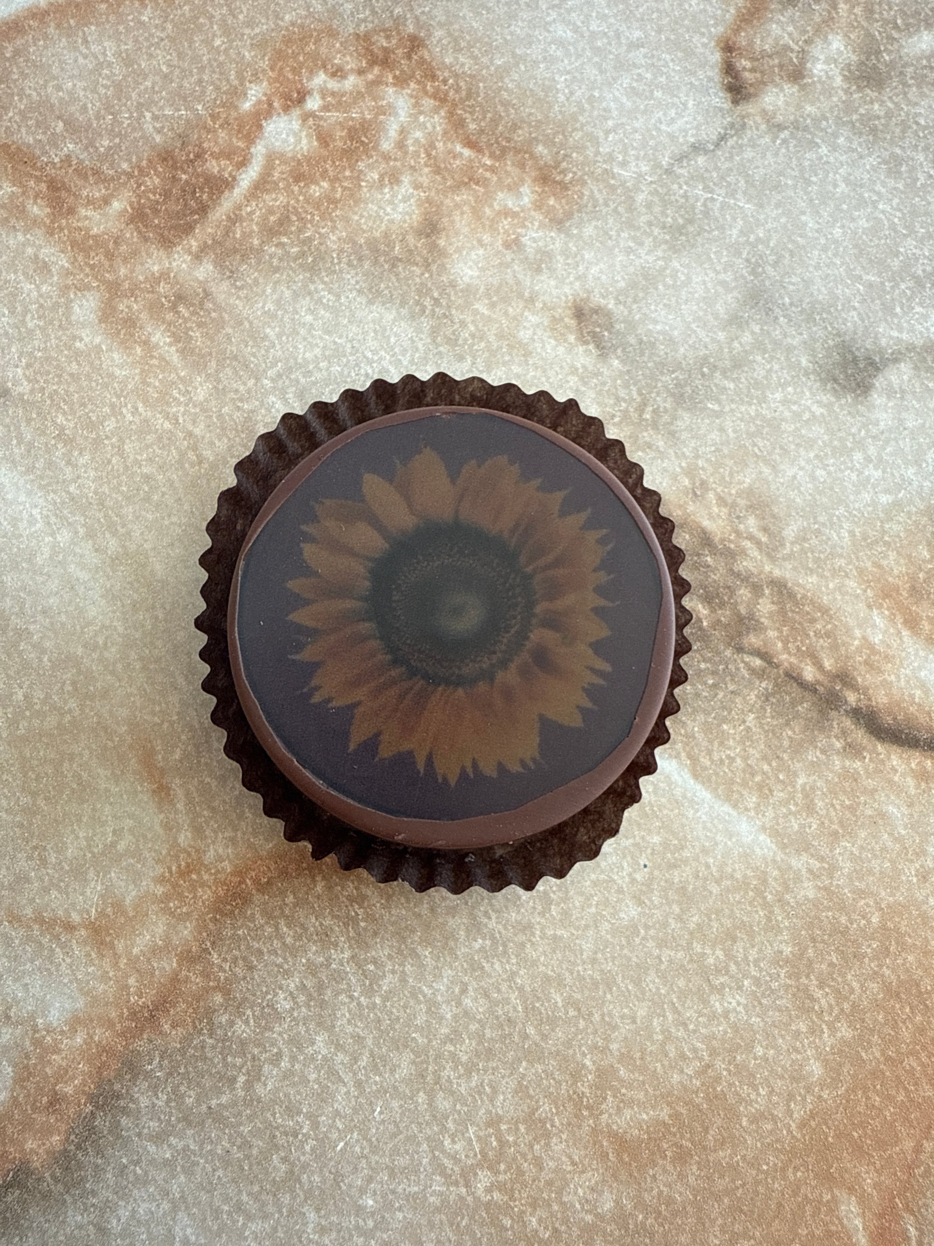 Milk Chocolate Covered Oreos