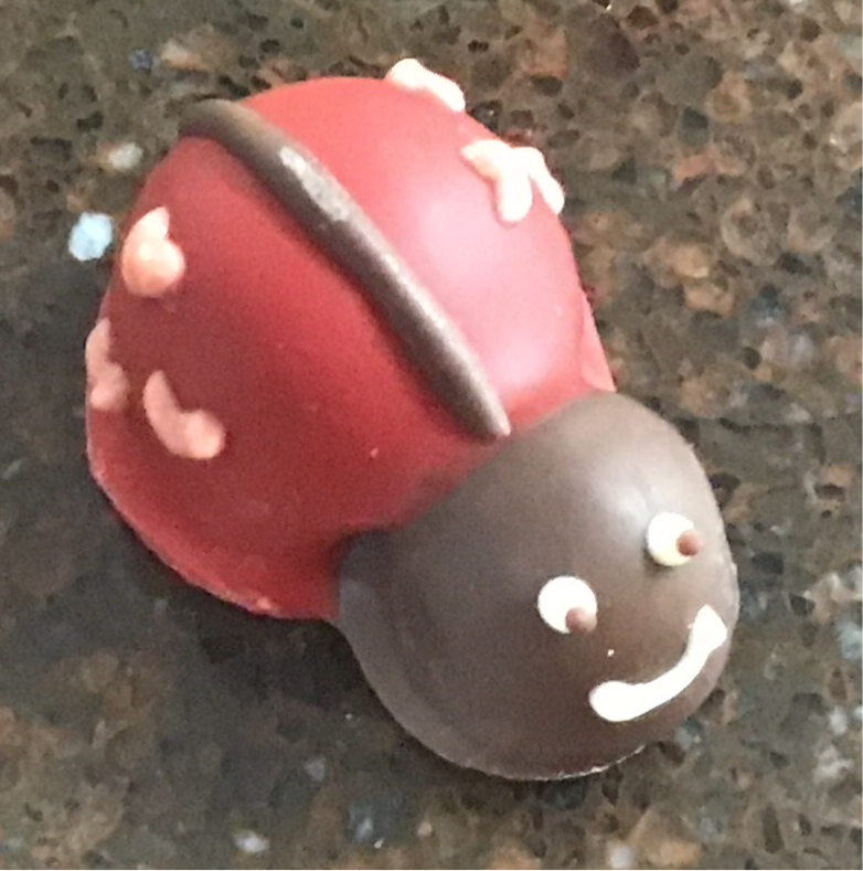 Milk Ladybug Truffle Animal