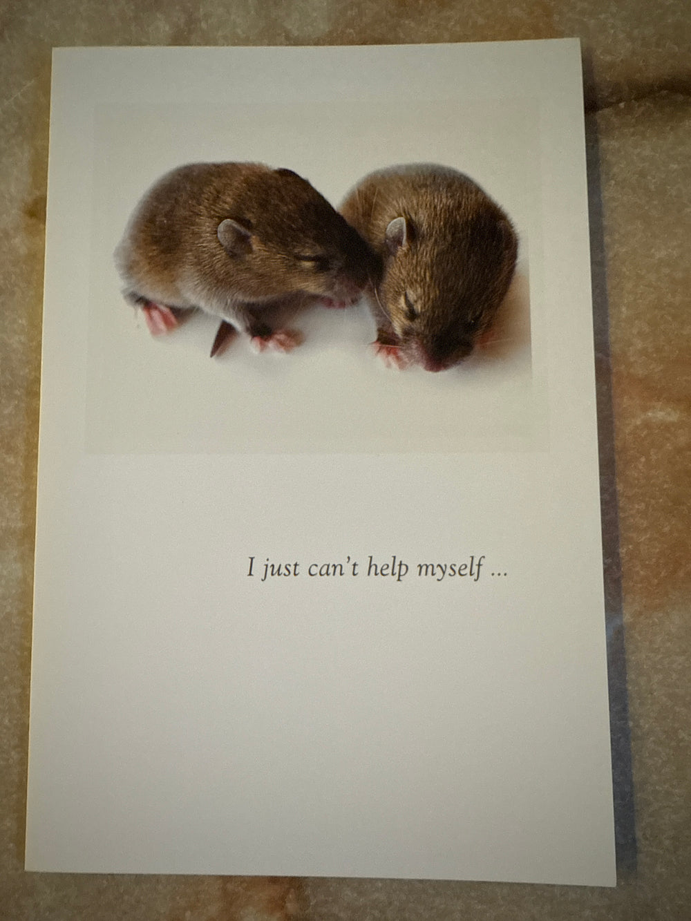 Mice Sweethearts Love Card