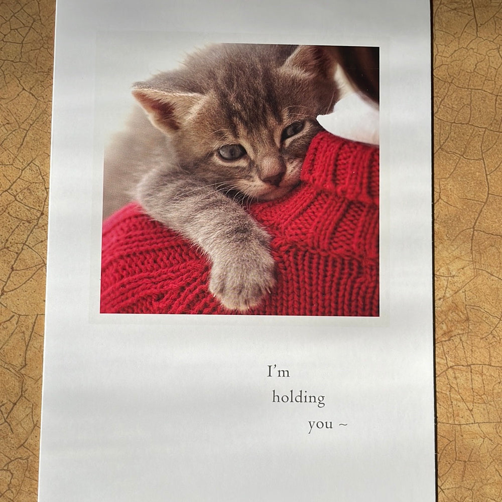 Kitten on Shoulder Support and Encouragement Card