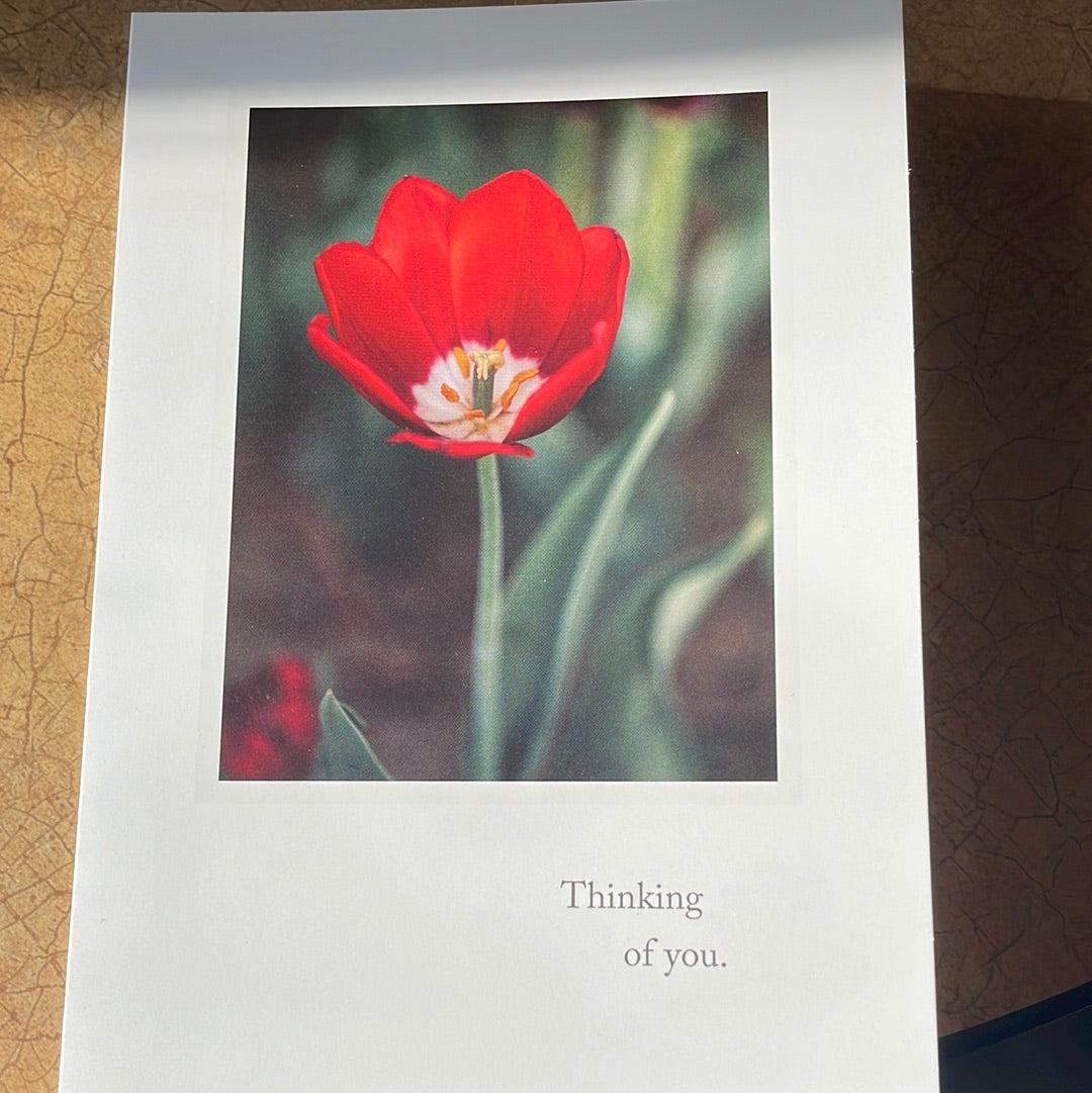 Red Tulip Thinking of You Card