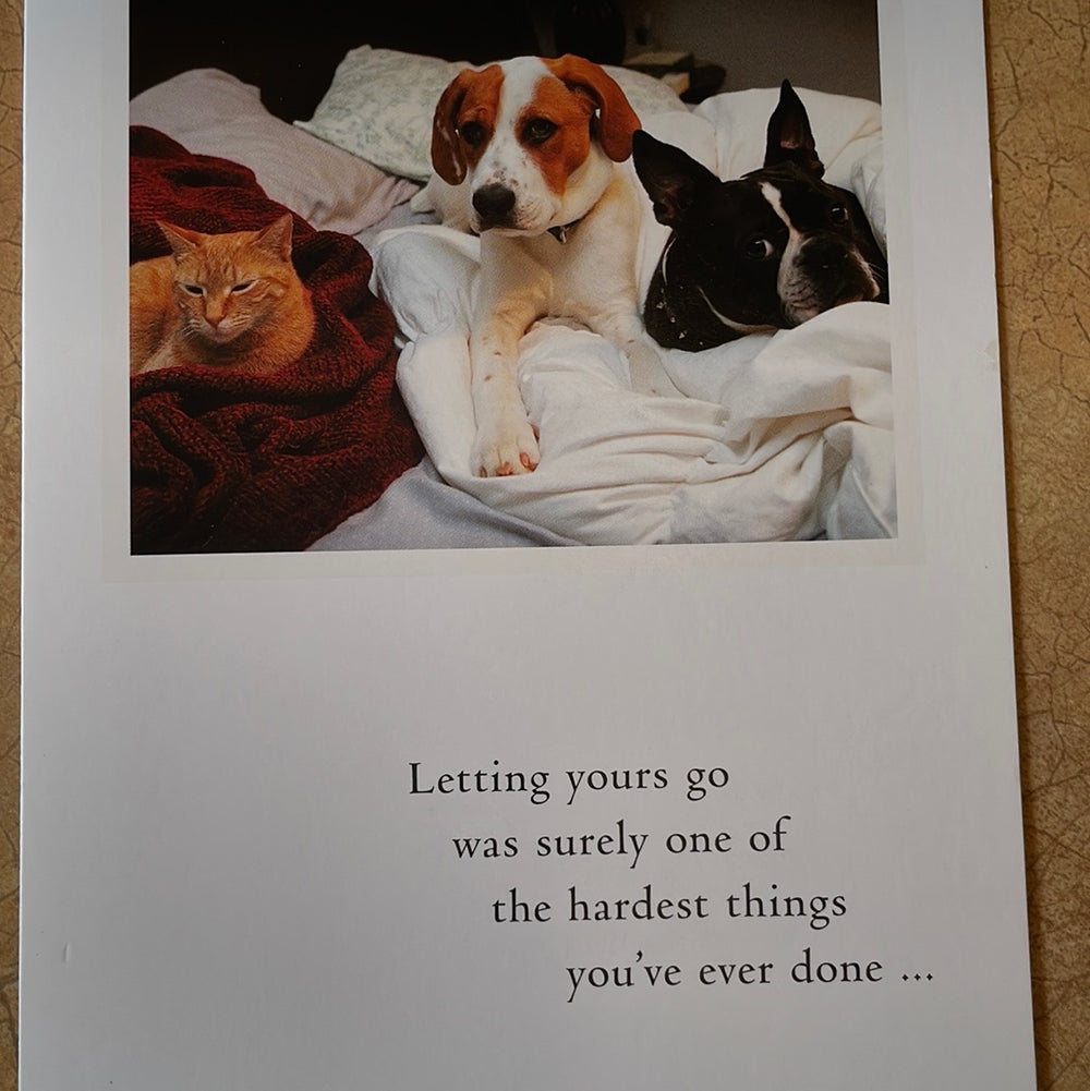 Cat and Dogs on Bed Pet Condolence Card