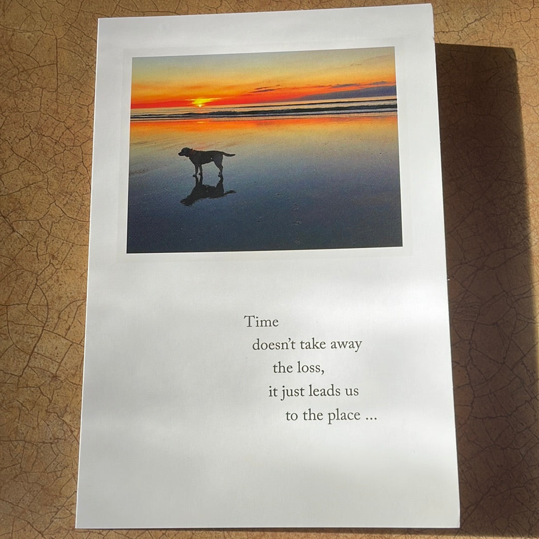 Dog on Sunset Beach Pet Condolence Card