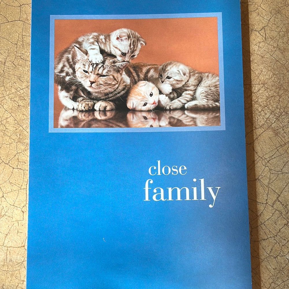 Cat Crawling with Kitties Family Birthday Card