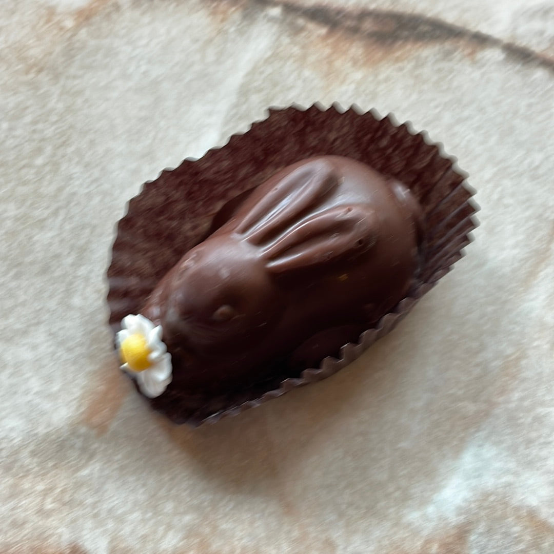 Milk Bunny Truffle Animal