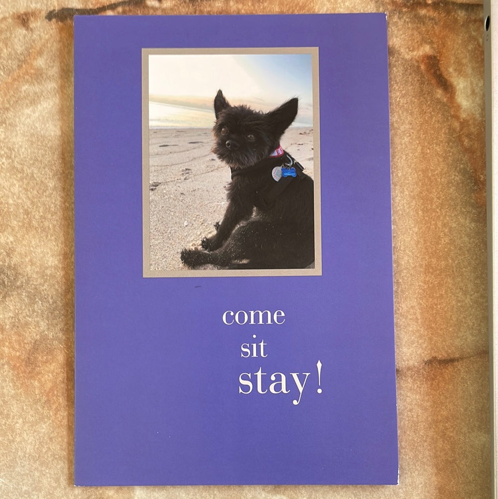 Black Doggie on Beach Birthday Card