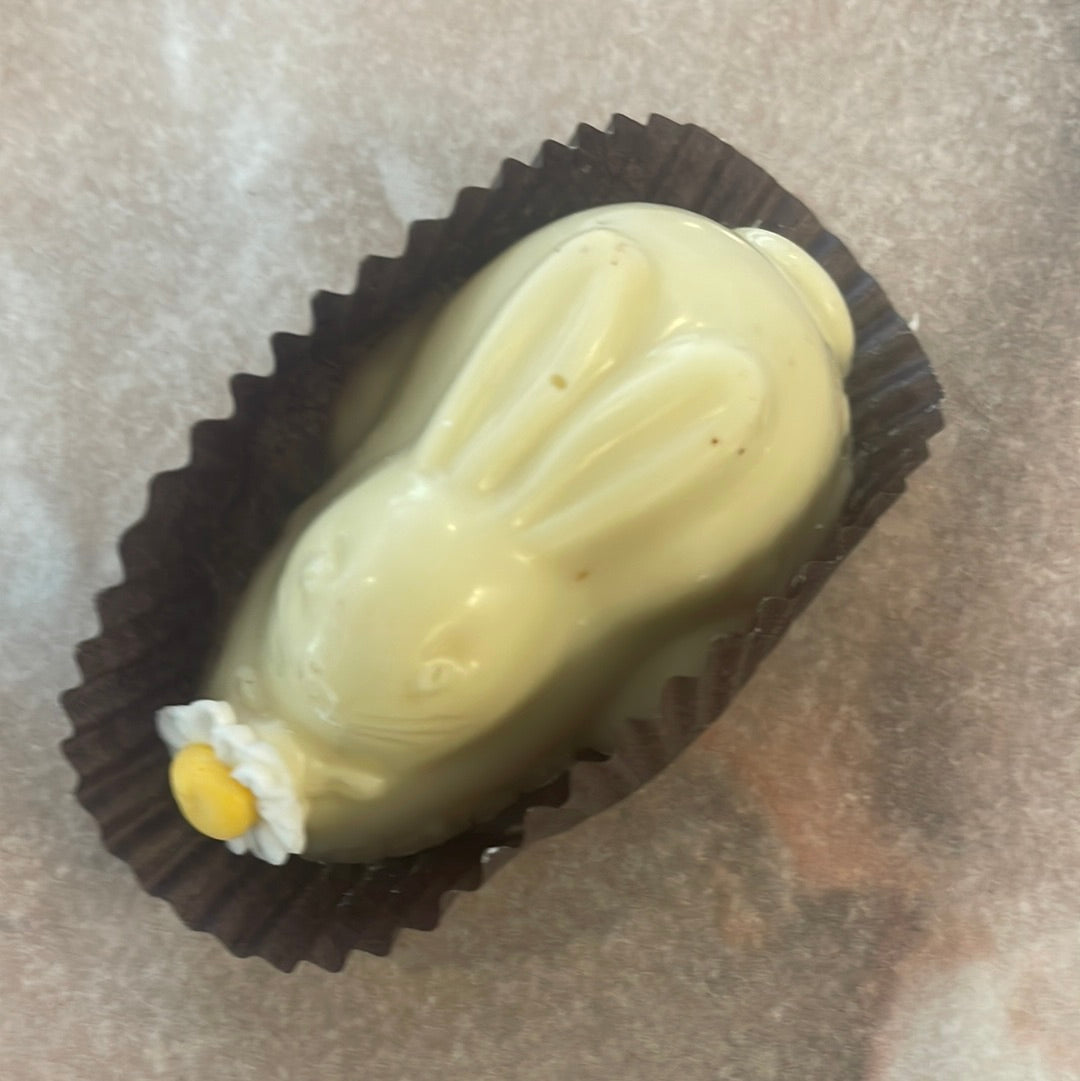 White Bunny Truffle Animal