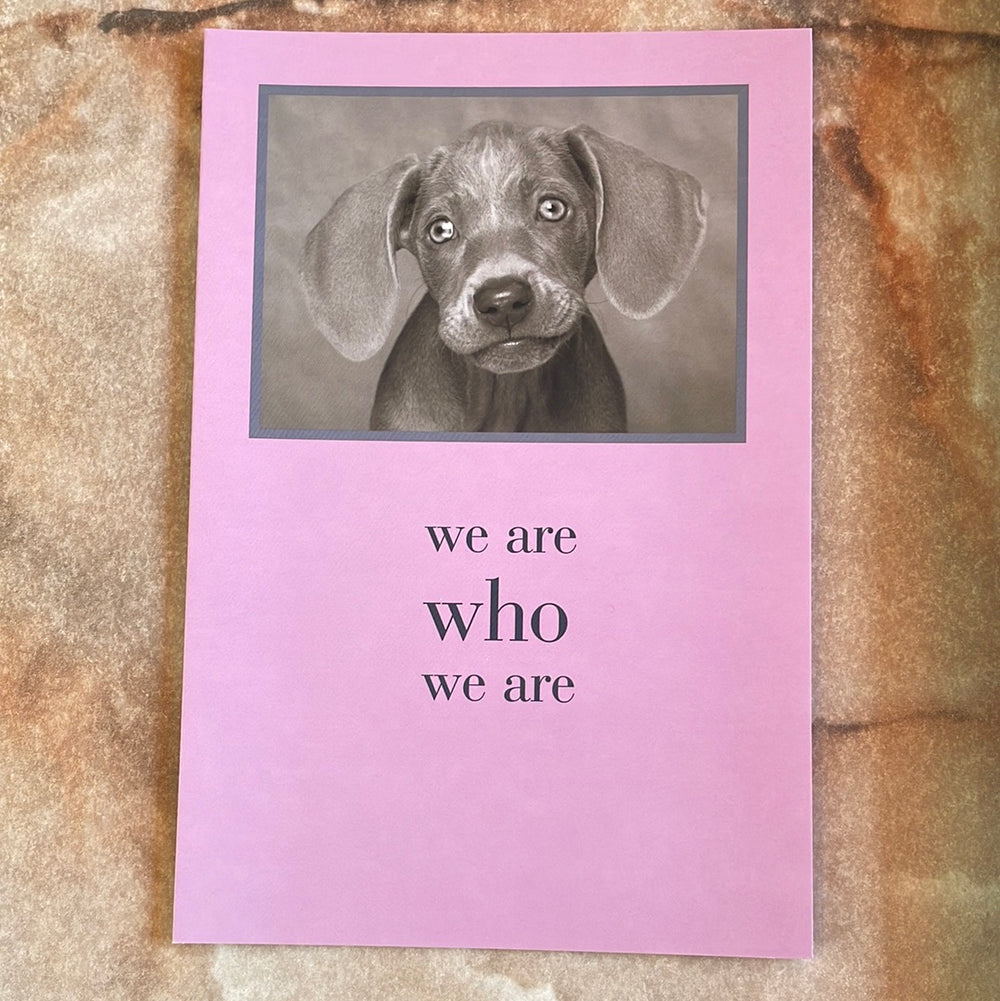 Weimaraner Pup All Occasion Card
