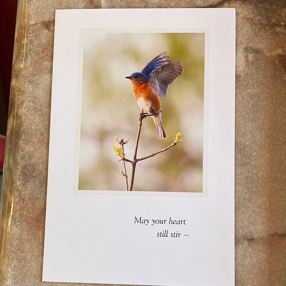 Wings of a Bluebird Birthday Card
