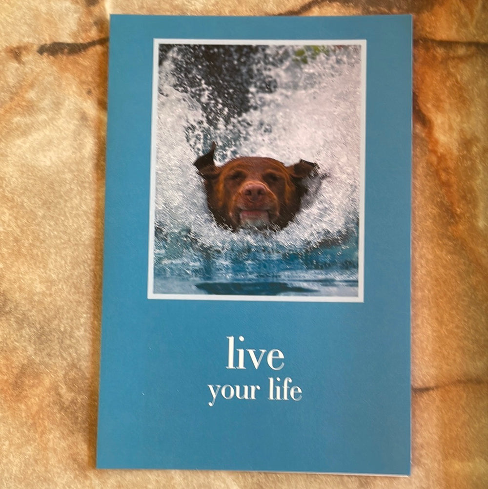 Live Your Life Birthday Card