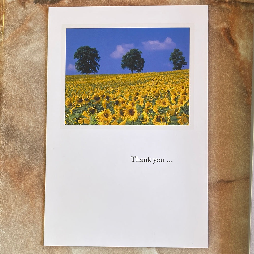 Field of Sunflowers Thank You Card
