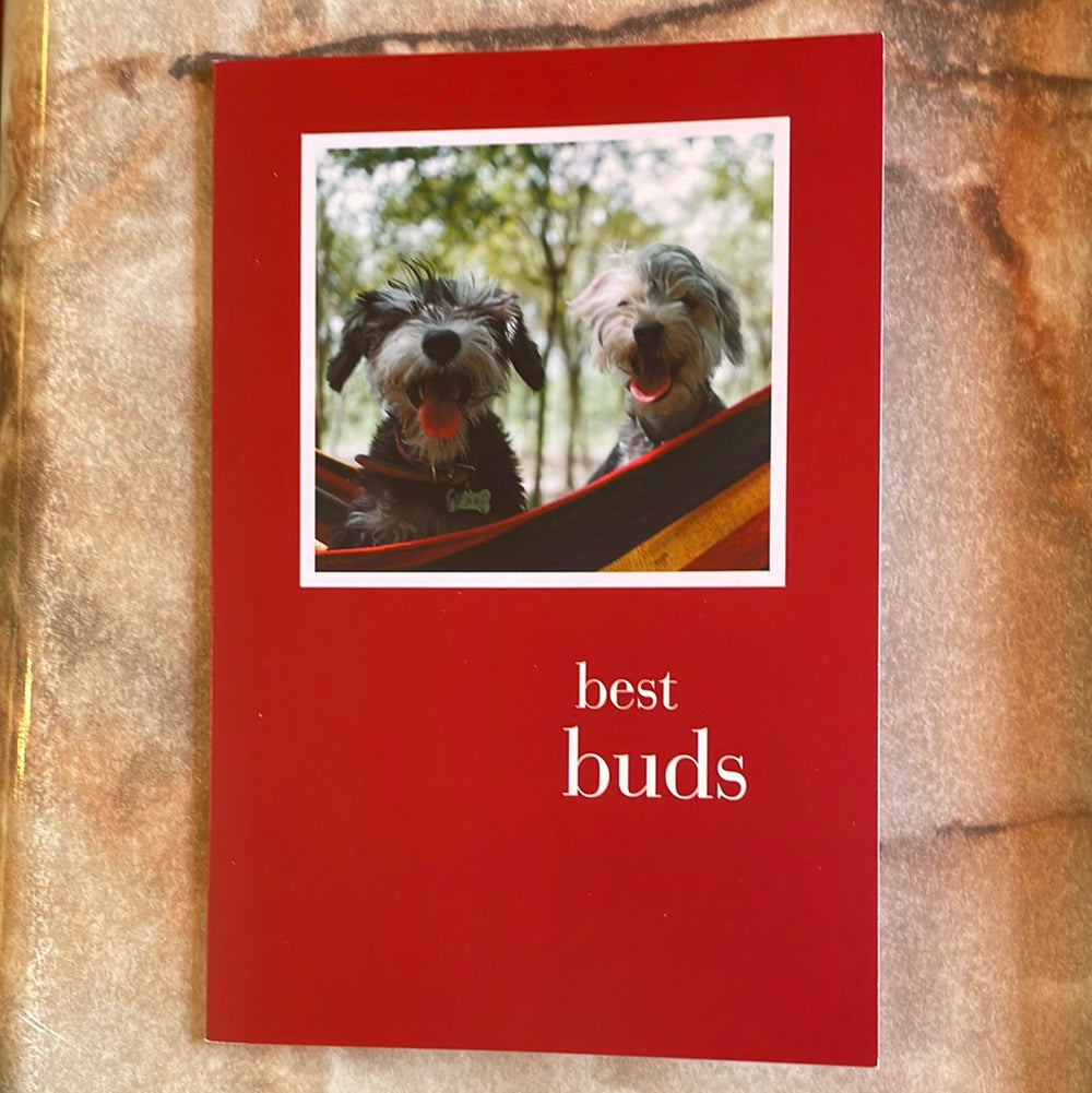 Best Buds in Hammock Birthday Card