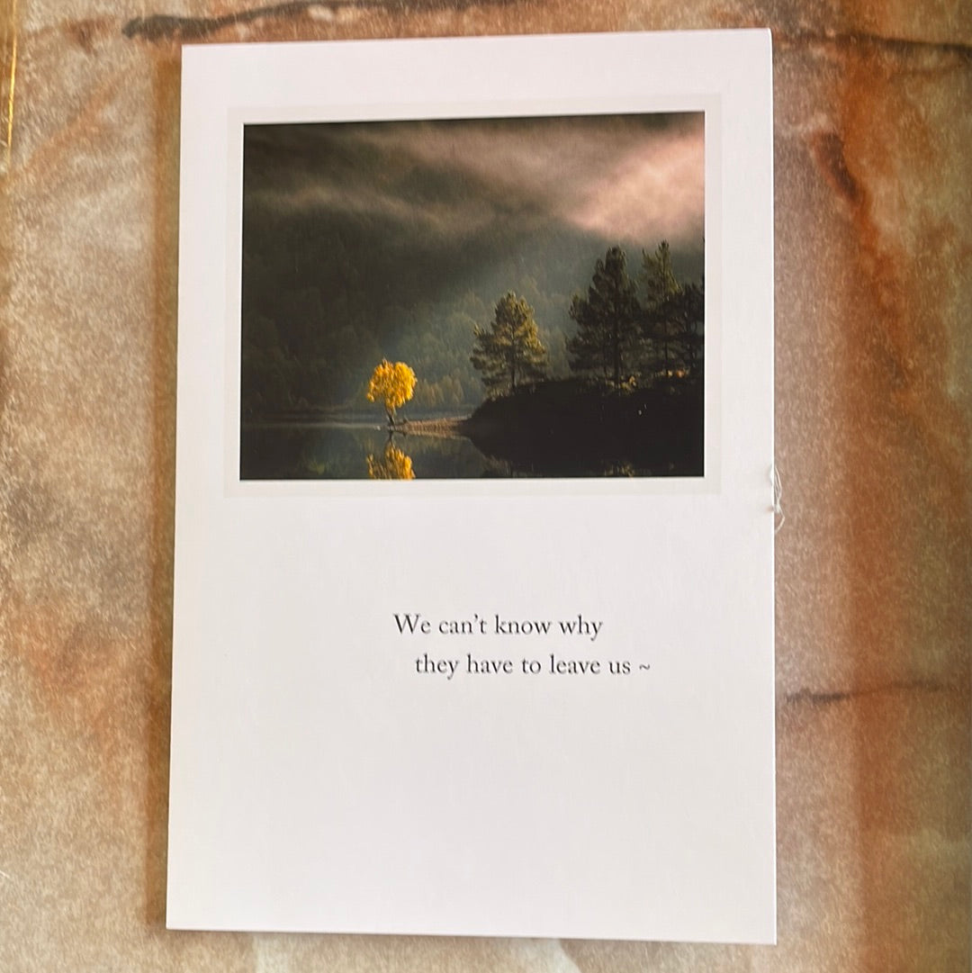 Sunbeam Tree on Lake Sympathy Card